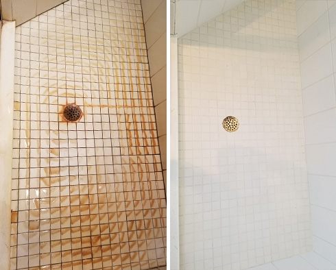 Shower Floor Before and After a Tile Cleaning in Venice