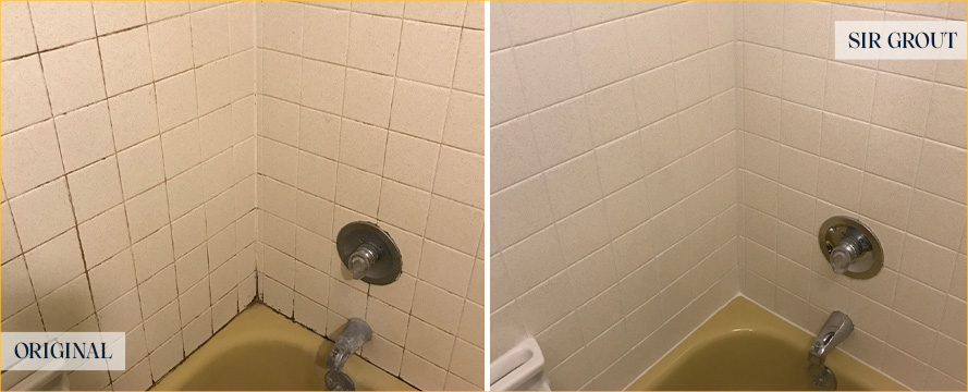 Tile Shower Before and After Our Caulking Services in Palmetto