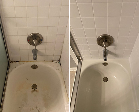 Shower and Bathtub Before and After a Tile Cleaning in Palmetto