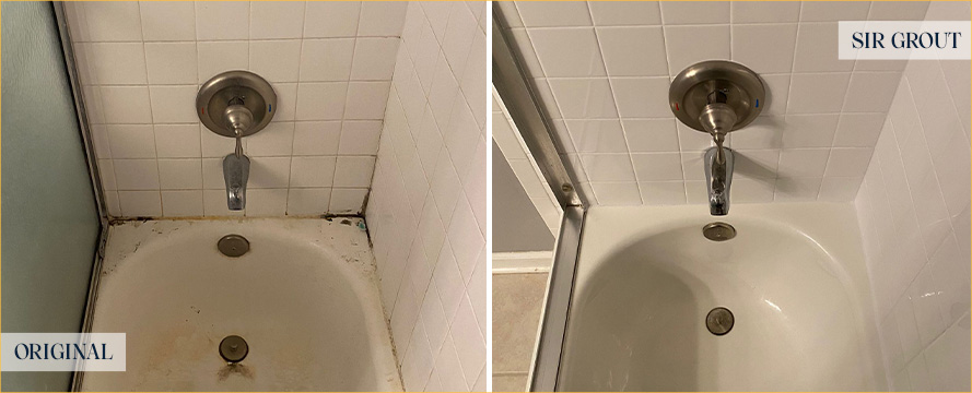 Shower and Bathtub Before and After a Tile Cleaning in Palmetto