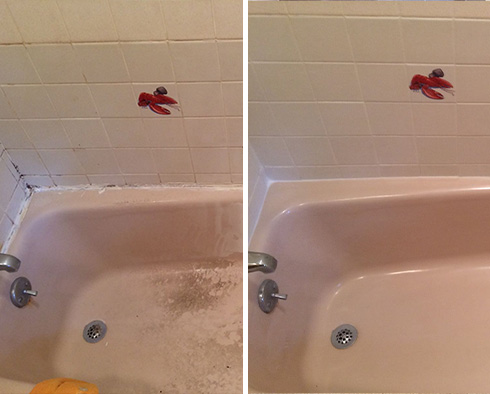 Shower and Bathtub Before and After a Tile Cleaning in Venice