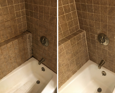 Tile Shower Before and After a Grout Cleaning in Palmetto