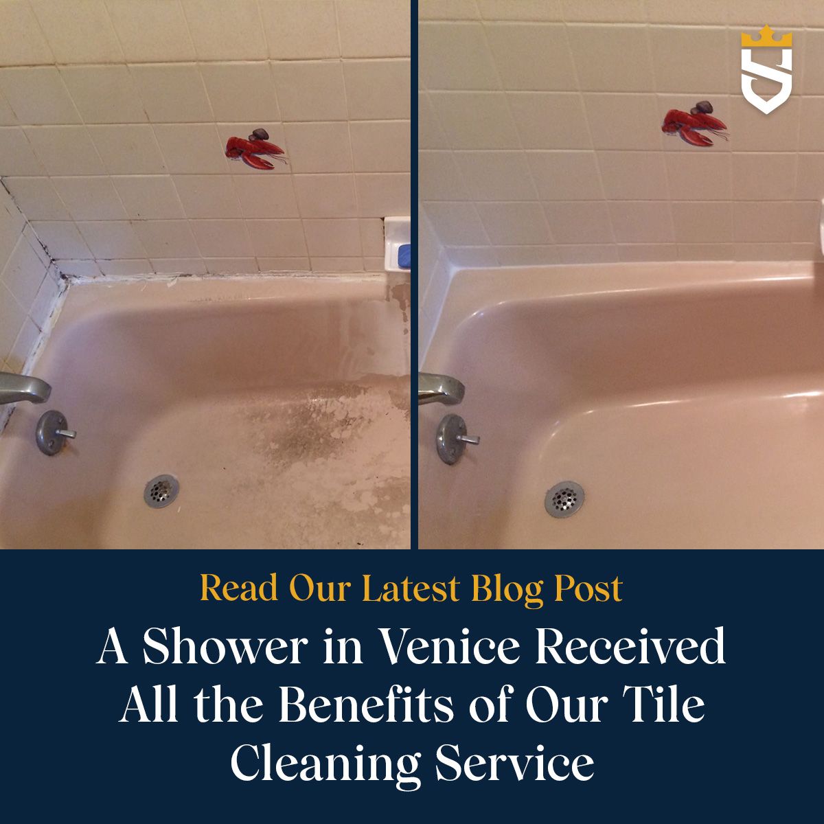 A Shower in Venice Received All the Benefits of Our Tile Cleaning Service